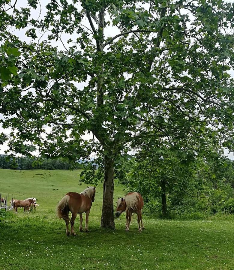 Monte Termine Country House Rioveggio Экстерьер фото