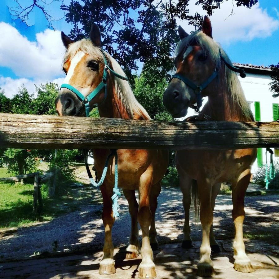 Monte Termine Country House Rioveggio Экстерьер фото