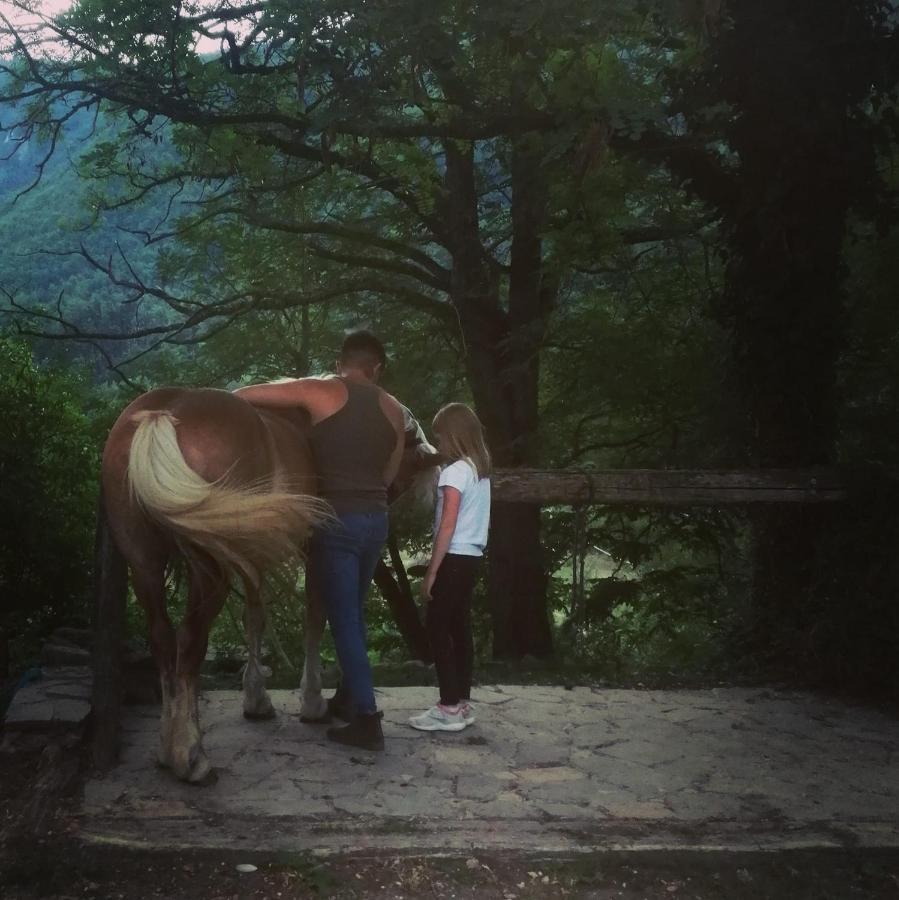 Monte Termine Country House Rioveggio Экстерьер фото