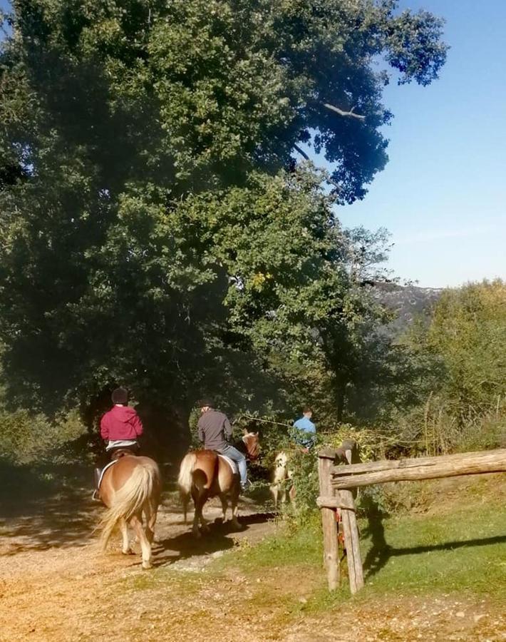 Monte Termine Country House Rioveggio Экстерьер фото