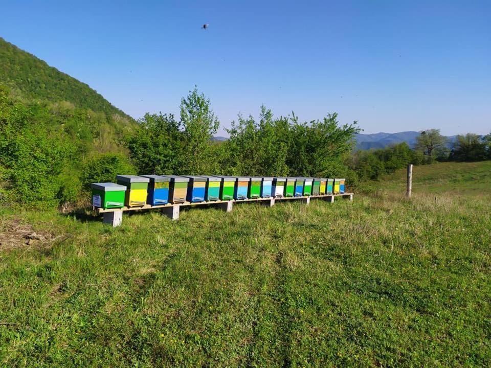Monte Termine Country House Rioveggio Экстерьер фото