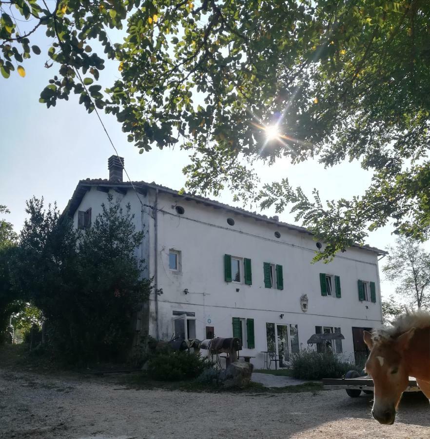 Monte Termine Country House Rioveggio Экстерьер фото